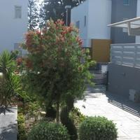 Townhouse in Republic of Cyprus, Eparchia Pafou, Nicosia, 200 sq.m.