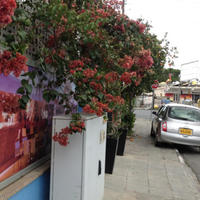 Другое на Кипре, Лимасол, Никосия, 630 кв.м.