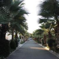 Villa in Republic of Cyprus, Eparchia Larnakas, Nicosia, 154 sq.m.