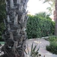 Villa in Republic of Cyprus, Eparchia Larnakas, Nicosia, 154 sq.m.