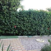 Villa in Republic of Cyprus, Eparchia Larnakas, Nicosia, 154 sq.m.