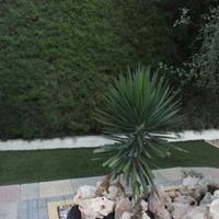 Villa in Republic of Cyprus, Eparchia Larnakas, Nicosia, 154 sq.m.