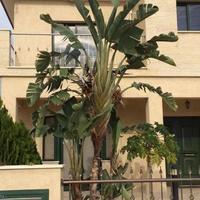 Villa in Republic of Cyprus, Lemesou, Nicosia, 210 sq.m.