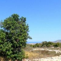 Villa in Republic of Cyprus, Eparchia Pafou, Nicosia, 177 sq.m.