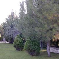 Вилла на Кипре, Лимасол, Никосия, 289 кв.м.