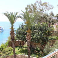 Villa in Republic of Cyprus, Eparchia Pafou, Nicosia, 330 sq.m.