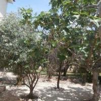 Вилла на Кипре, Пафос, Никосия, 125 кв.м.