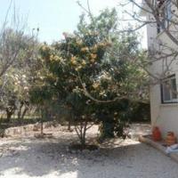 Вилла на Кипре, Пафос, Никосия, 125 кв.м.