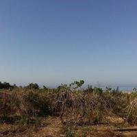 Земельный участок на Кипре, Пафос, Никосия