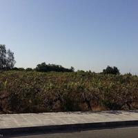 Земельный участок на Кипре, Пафос, Никосия