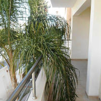 Апартаменты на Кипре, Лимасол, Никосия, 80 кв.м.