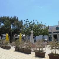 Villa in Republic of Cyprus, Lemesou, Nicosia, 372 sq.m.