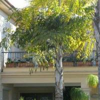 Villa in Republic of Cyprus, Lemesou, Nicosia, 400 sq.m.