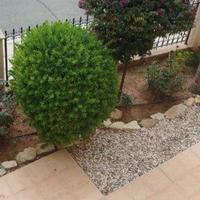 Villa in Republic of Cyprus, Lemesou, Nicosia, 322 sq.m.