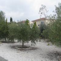 Вилла на Кипре, Пафос, Никосия, 160 кв.м.