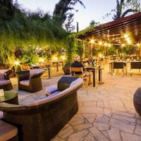 Restaurant (cafe) in Republic of Cyprus, Eparchia Pafou, Nicosia, 300 sq.m.