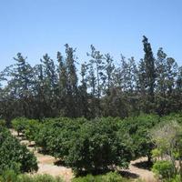 Townhouse in Republic of Cyprus, Eparchia Pafou, Nicosia, 96 sq.m.