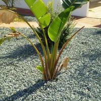 Вилла на Кипре, Фамагуста, 117 кв.м.