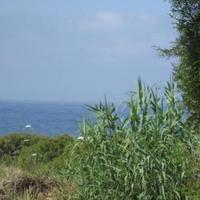 Апартаменты на Кипре, Пафос, Никосия, 185 кв.м.