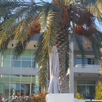 Вилла на Кипре, Лимасол, Никосия, 465 кв.м.