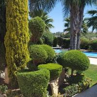 Apartment in Republic of Cyprus, Lemesou, Nicosia, 185 sq.m.