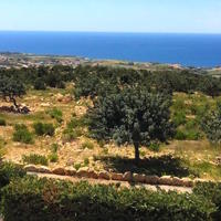 Villa in Republic of Cyprus, Eparchia Pafou, Nicosia, 300 sq.m.