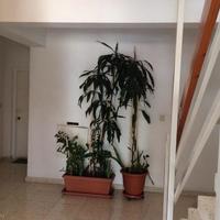 Apartment in Republic of Cyprus, Lemesou, Nicosia, 55 sq.m.
