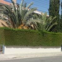 Villa in Republic of Cyprus, Lemesou, Nicosia, 400 sq.m.