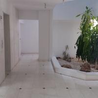 Апартаменты на Кипре, Лимасол, Никосия, 120 кв.м.