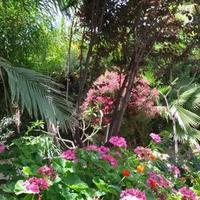 Villa in Republic of Cyprus, Lemesou, Nicosia, 1050 sq.m.