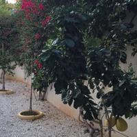 Апартаменты на Кипре, Лимасол, Никосия, 135 кв.м.