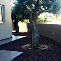 Вилла на Кипре, Лимасол, Никосия, 200 кв.м.