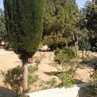 Villa in Republic of Cyprus, Lemesou, Nicosia, 400 sq.m.