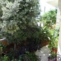 Вилла на Кипре, Лимасол, Никосия, 200 кв.м.