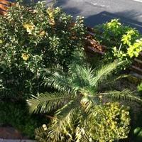 Вилла на Кипре, Лимасол, Никосия, 300 кв.м.