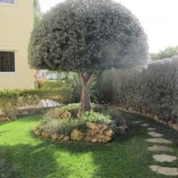 Villa in Republic of Cyprus, Lemesou, Nicosia, 268 sq.m.