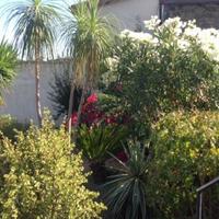 Вилла на Кипре, Лимасол, Никосия, 215 кв.м.