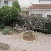 House in Republic of Cyprus, Lemesou, Nicosia, 222 sq.m.