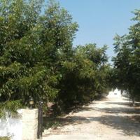 Вилла на Кипре, Пафос, Никосия, 170 кв.м.