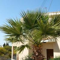 Вилла на Кипре, Пафос, Никосия, 205 кв.м.