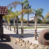 Вилла на Кипре, Пафос, Никосия, 250 кв.м.