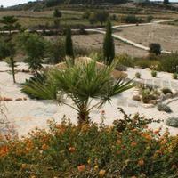 Вилла на Кипре, Пафос, Никосия, 180 кв.м.