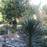 Villa in Republic of Cyprus, Eparchia Pafou, Nicosia, 130 sq.m.