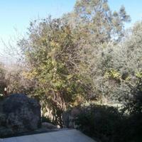 Villa in Republic of Cyprus, Eparchia Pafou, Nicosia, 130 sq.m.
