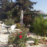 Апартаменты на Кипре, Пафос, Никосия, 42 кв.м.