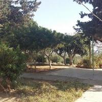 Апартаменты на Кипре, Пафос, Никосия, 42 кв.м.