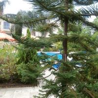 Таунхаус на Кипре, Пафос, Никосия, 88 кв.м.