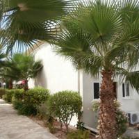 Таунхаус на Кипре, Пафос, Никосия, 88 кв.м.