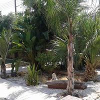 House in Republic of Cyprus, Lemesou, Nicosia, 210 sq.m.