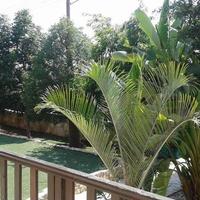 House in Republic of Cyprus, Lemesou, Nicosia, 210 sq.m.